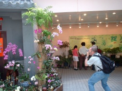 Click here to view the photos available in this gallery.